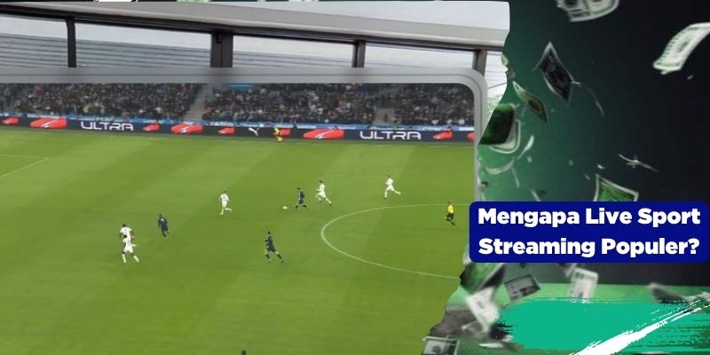 Mengapa Live Sport Streaming Populer?